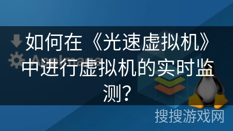 如何在《光速虚拟机》中进行虚拟机的实时监测？