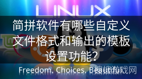简拼软件有哪些自定义文件格式和输出的模板设置功能？