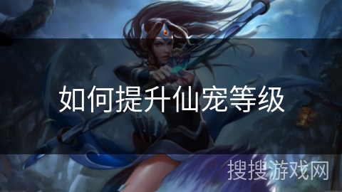 如何提升仙宠等级