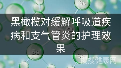 黑橄榄对缓解呼吸道疾病和支气管炎的护理效果