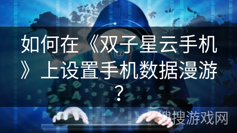 如何在《双子星云手机》上设置手机数据漫游？
