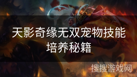 天影奇缘无双宠物技能培养秘籍