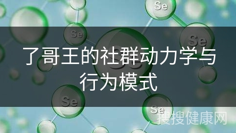 了哥王的社群动力学与行为模式