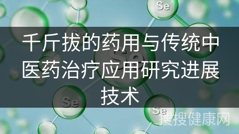 千斤拔的药用与传统中医药治疗应用研究进展技术