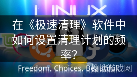 在《极速清理》软件中如何设置清理计划的频率? 在《极速清理》软件中如何设置清理计划的频率?
