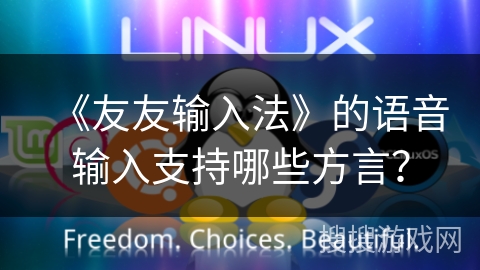 《友友输入法》的语音输入支持哪些方言？