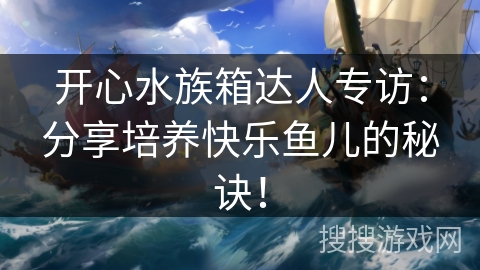开心水族箱达人专访：分享培养快乐鱼儿的秘诀！