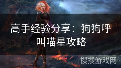 高手经验分享：狗狗呼叫喵星攻略