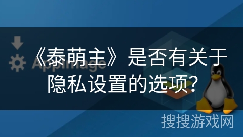 《泰萌主》是否有关于隐私设置的选项？