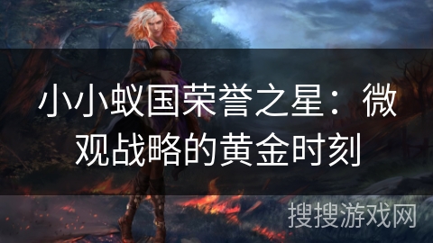 小小蚁国荣誉之星：微观战略的黄金时刻
