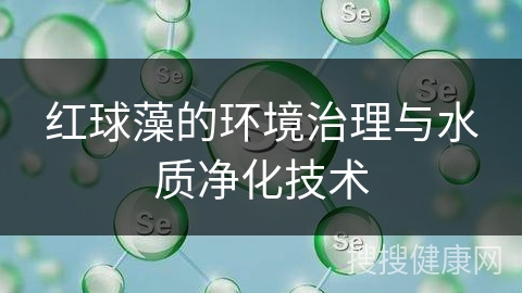 红球藻的环境治理与水质净化技术