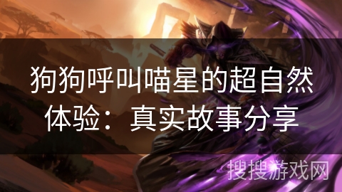 狗狗呼叫喵星的超自然体验:真实故事分享 狗狗呼叫喵星的超自然体验:真实故事分享