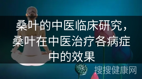 桑叶的中医临床研究，桑叶在中医治疗各病症中的效果