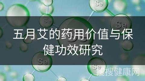 五月艾的药用价值与保健功效研究