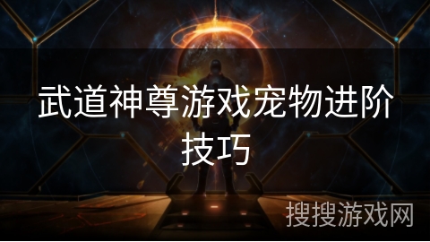 武道神尊游戏宠物进阶技巧