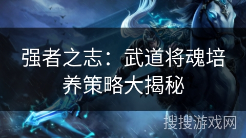 强者之志:武道将魂培养策略大揭秘 强者之志:武道将魂培养策略大揭秘