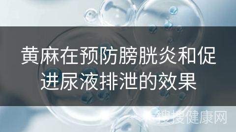 黄麻在预防膀胱炎和促进尿液排泄的效果