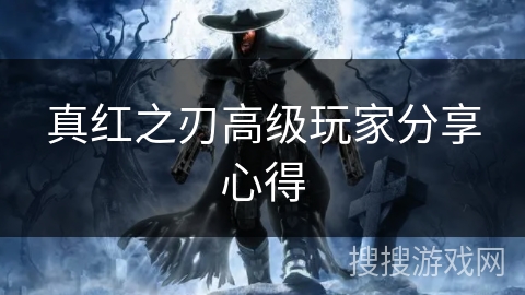 真红之刃高级玩家分享心得 真红之刃高级玩家分享心得