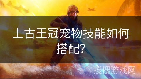 上古王冠宠物技能如何搭配？