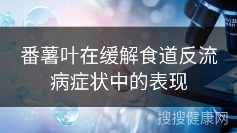 番薯叶在缓解食道反流病症状中的表现