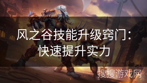 风之谷技能升级窍门：快速提升实力