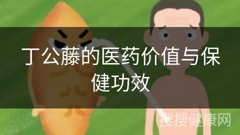 丁公藤的医药价值与保健功效