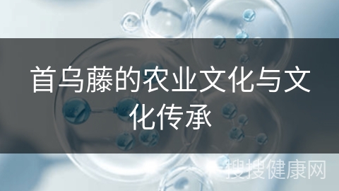 首乌藤的农业文化与文化传承