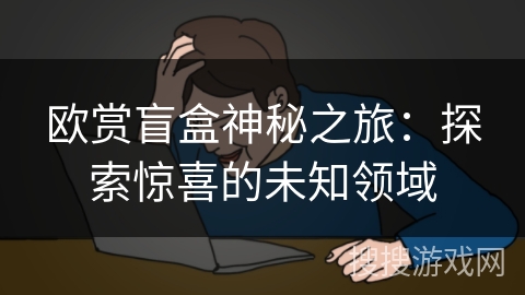 欧赏盲盒神秘之旅：探索惊喜的未知领域