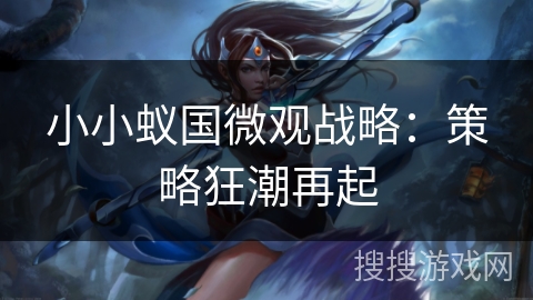 小小蚁国微观战略：策略狂潮再起