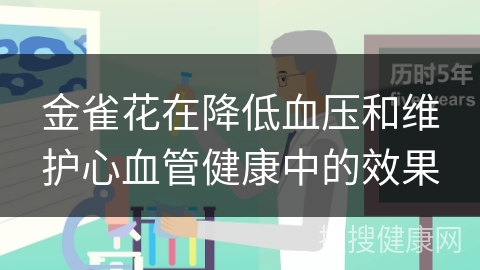 金雀花在降低血压和维护心血管健康中的效果