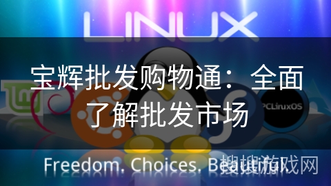 宝辉批发购物通:全面了解批发市场 宝辉批发购物通:全面了解批发市场