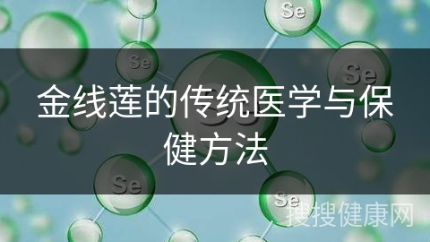 金线莲的传统医学与保健方法