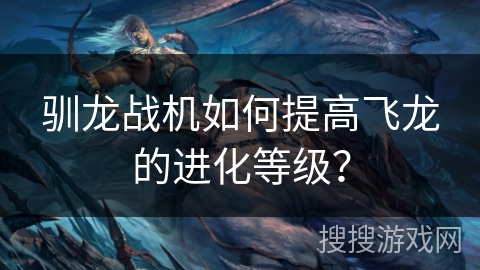 驯龙战机如何提高飞龙的进化等级？