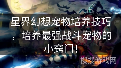 星界幻想宠物培养技巧,培养最强战斗宠物的小窍门!