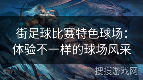 街足球比赛特色球场:体验不一样的球场风采 街足球比赛特色球场:体验不一样的球场风采