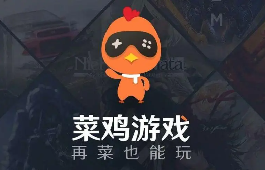 《菜鸡游戏》介绍