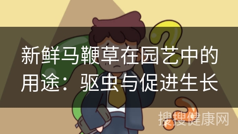 新鲜马鞭草在园艺中的用途：驱虫与促进生长