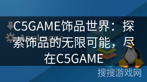 C5GAME饰品世界：探索饰品的无限可能，尽在C5GAME