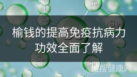 榆钱的提高免疫抗病力功效全面了解