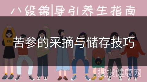 苦参的采摘与储存技巧