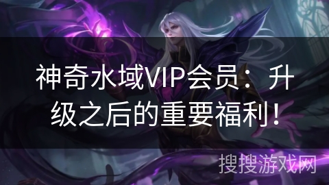 神奇水域VIP会员：升级之后的重要福利！