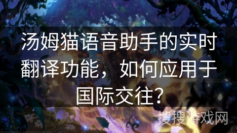 汤姆猫语音助手的实时翻译功能，如何应用于国际交往？