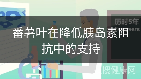 番薯叶在降低胰岛素阻抗中的支持