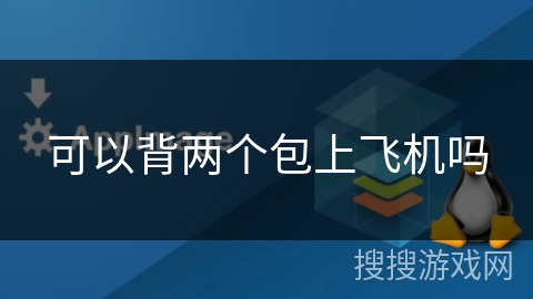 可以背两个包上飞机吗 可以背两个包上飞机吗
