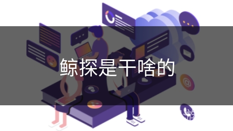 鲸探是干啥的 鲸探是干啥的