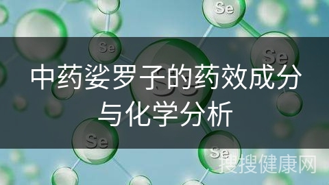 中药娑罗子的药效成分与化学分析