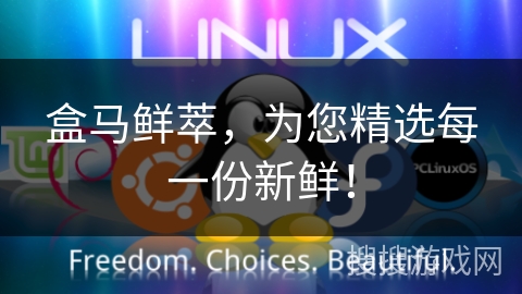 盒马鲜萃,为您精选每一份新鲜! 盒马鲜萃,为您精选每一份新鲜!