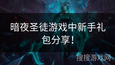 暗夜圣徒游戏中新手礼包分享! 暗夜圣徒游戏中新手礼包分享!