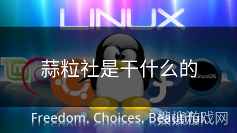 蒜粒社是干什么的