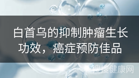 白首乌的抑制肿瘤生长功效，癌症预防佳品